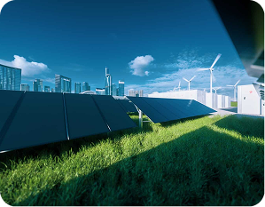 Capacity Building BumDes